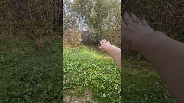 Rutube_account_9411626