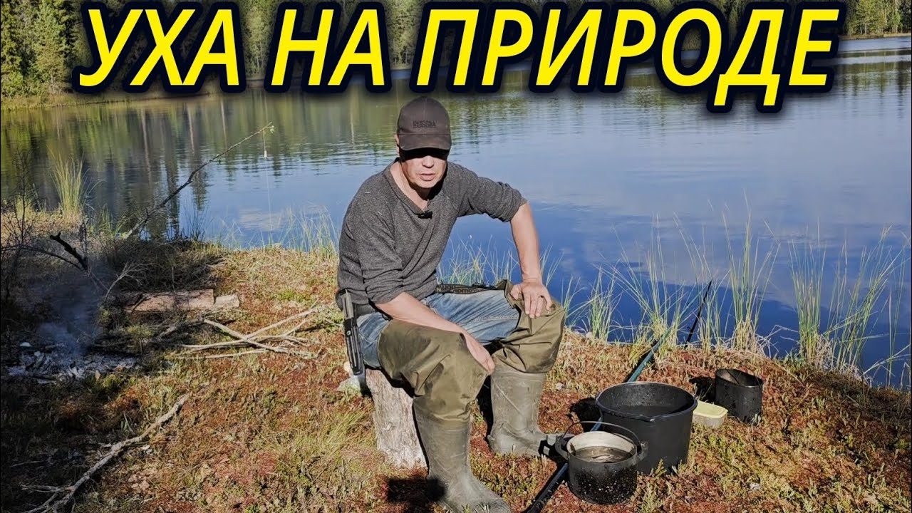 81bd5b5024221453985e8e03ee8704ac