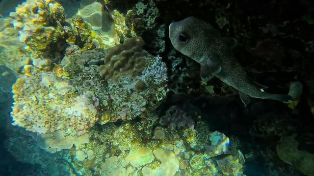 B8e8d5aef5d41267c500ee59f2e913e7