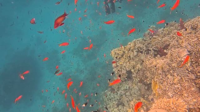 1fde7735bd2460e4c06ed6e41f275f1c