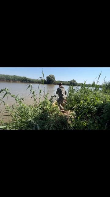 B59cb1d8d5b81a299305b6c0b1b296fb