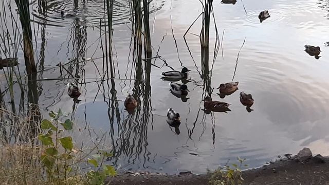 0606a142552d72cf012af132ee538688