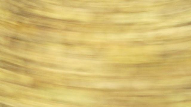 побег от маньяка из леса