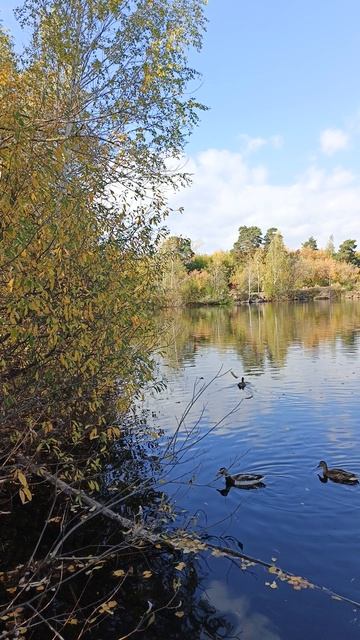 Воскресный пейзаж