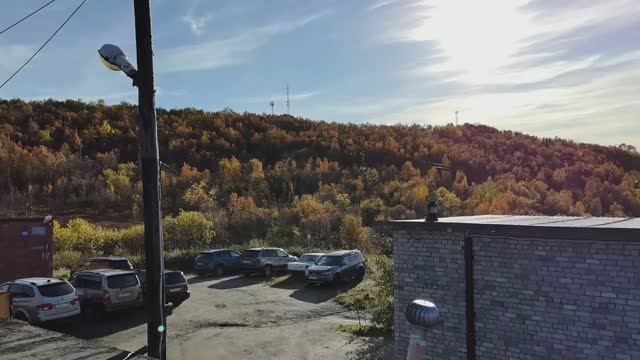 Много дел.