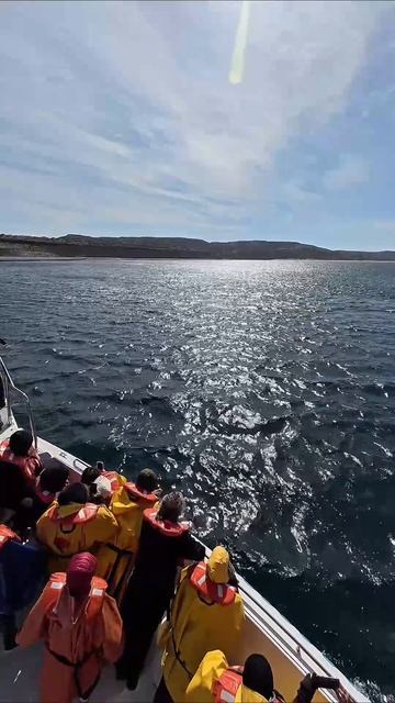 Давайте знакомиться!😁

#аргентина #патагония #вальдес #кит #argentina #patagonia #valdes #whale