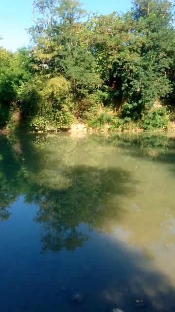 Прекрасное утро!