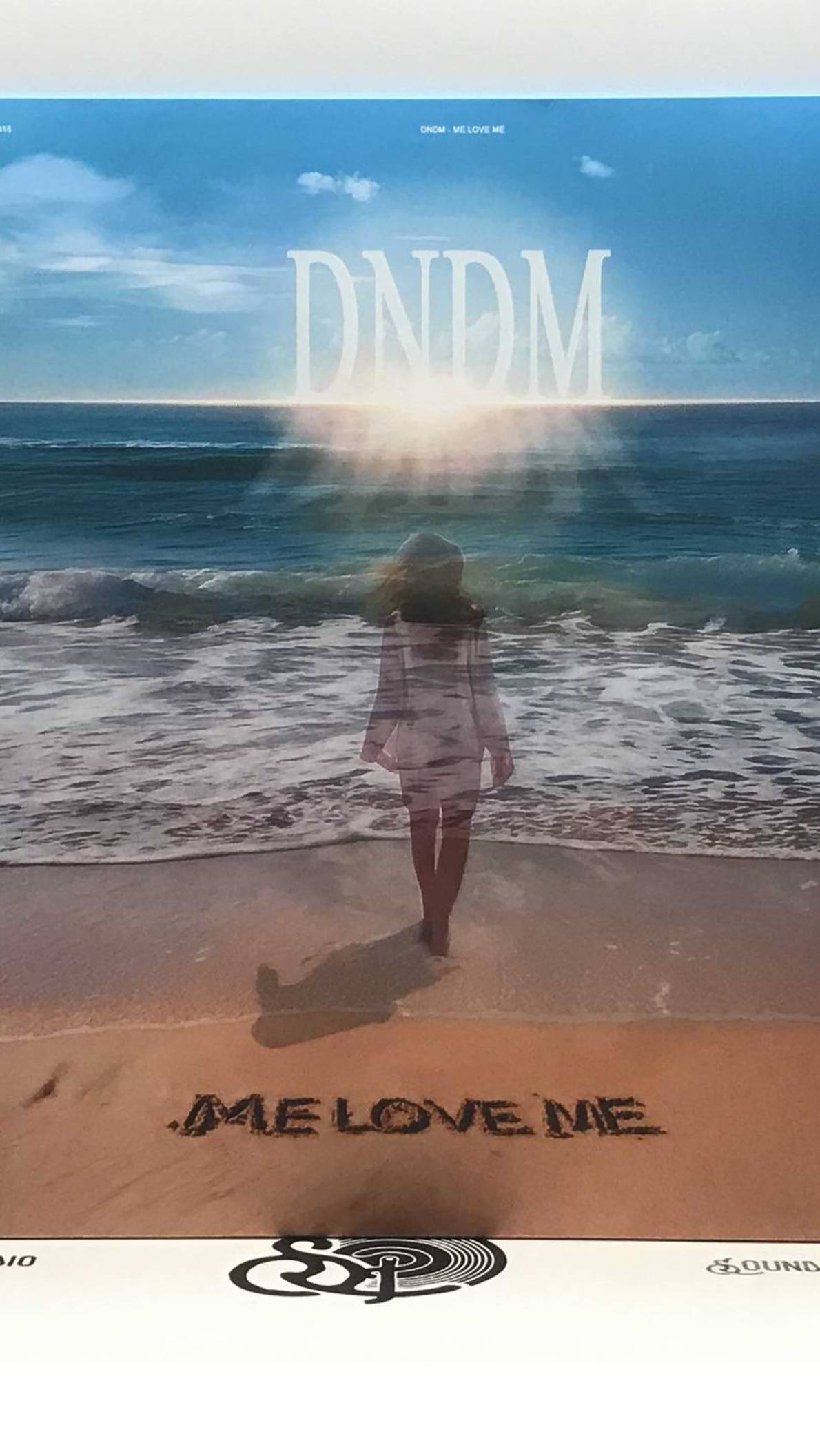 Виниловая пластинка группы DNDM