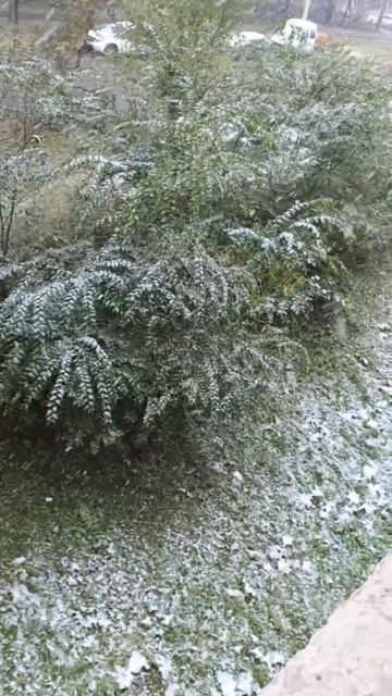 Снег в сентябре