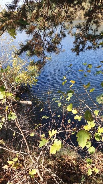 Мелочь приятная