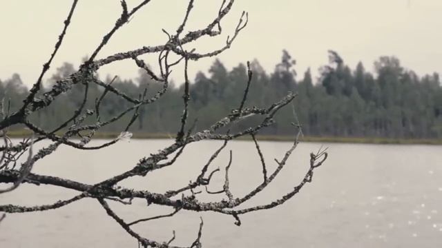 Прощальная