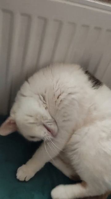 А у вас включили?🙂