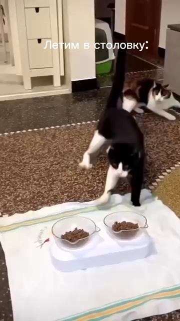 типичные будни в школе!🤣🤣🤣👍👍👍#short