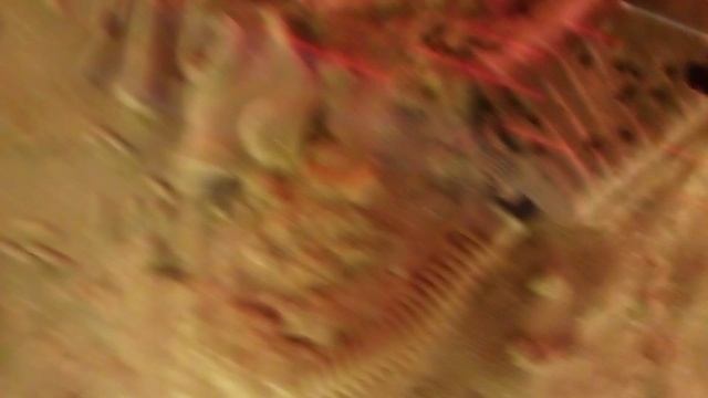 VID_20250911_111927.mp4