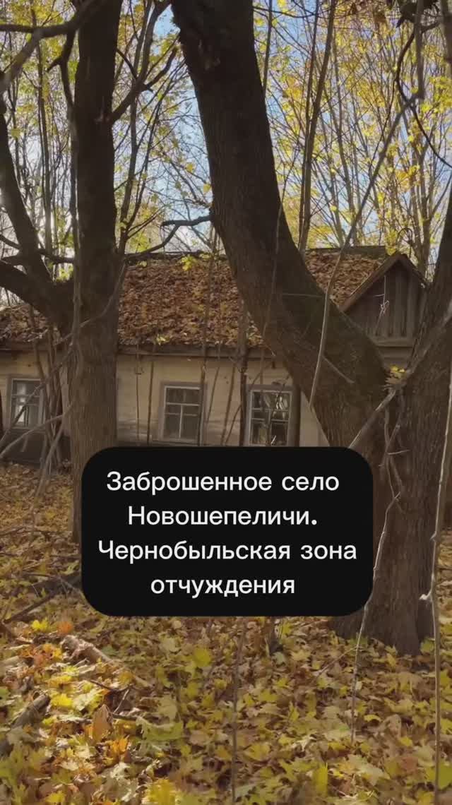 Новошепеличи. Заброшенное село в Чернобыльской зоне