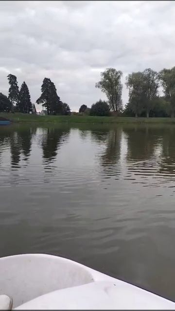 Катамаранский заплыв