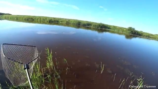 Рыбалка с палатками и ночёвкой у костра.Ловим сазанов и не только.Дикая Сибирь.