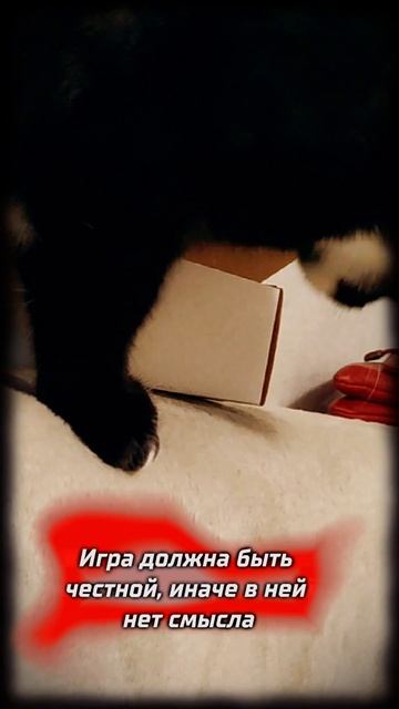 Игра по честному