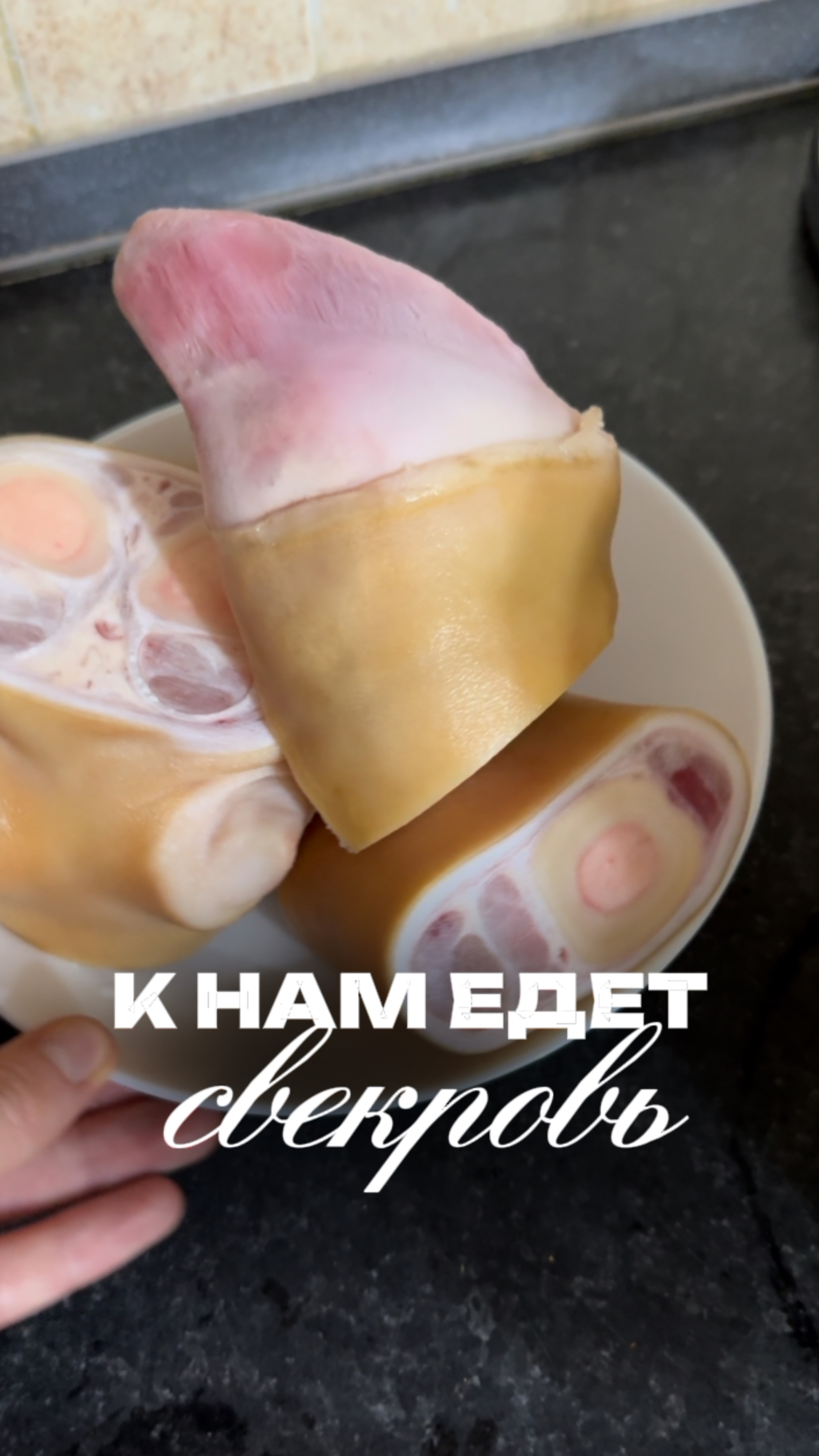 Как бы поступили вы?