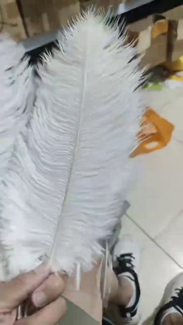 Перья страуса 30-35 см, 1 шт., Белый цвет