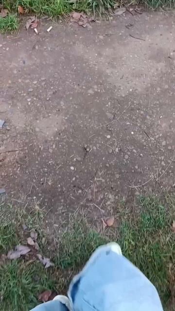 Спасибо, Пинки Пай🎈 #mylitlepony #мультик #осень