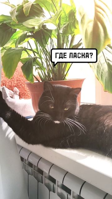 радуйся тому, что есть