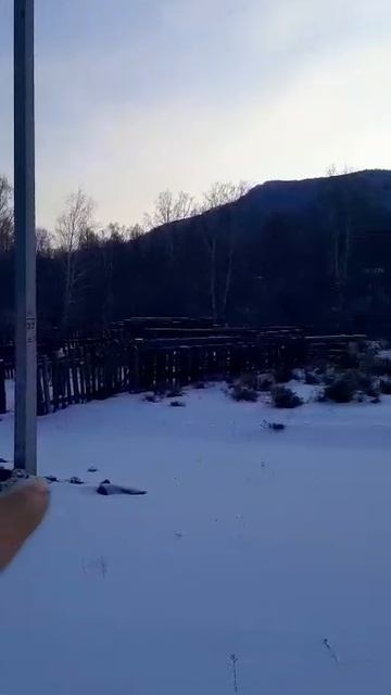 Земельный участок в Сентелек