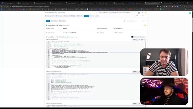 Полный технический разбор BitNest
