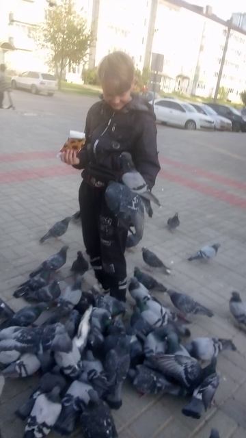 покормил гулек🙂