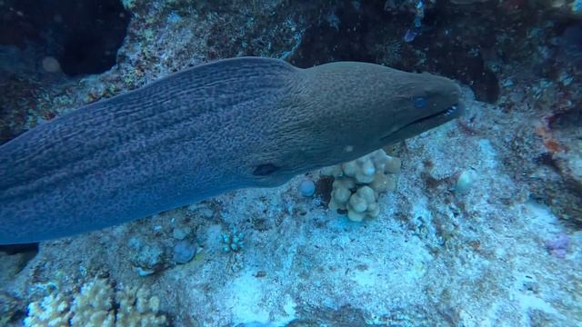 Ccc8465afce3e8d6ab9d1edd85af607c