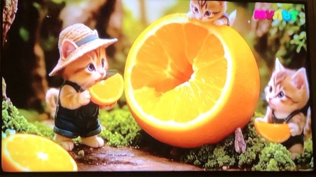 4f4a272c019f14502f1b4f04908953bb