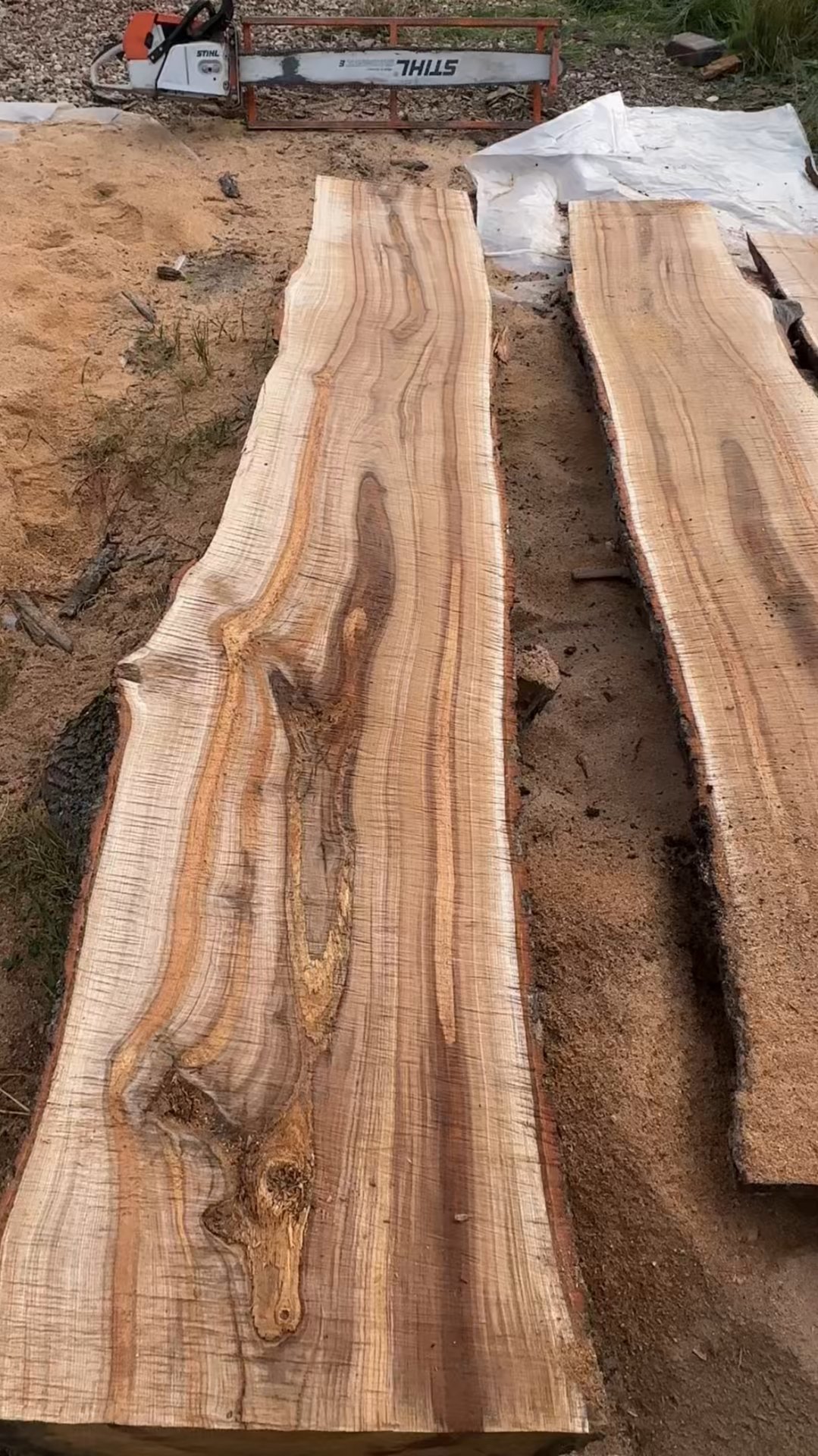 Df5598ee25397a4476d5719346bdb9b3