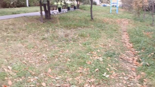 Осенний вайб 🍂 🍁🍂🍁🐕