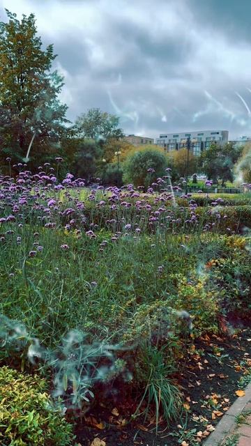 Стою, никого не трогаю… 😇 А потом БАЦ