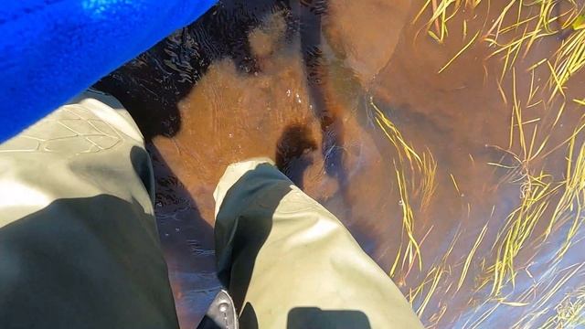 рыбалка на реке Еты-Пур 09.08.25