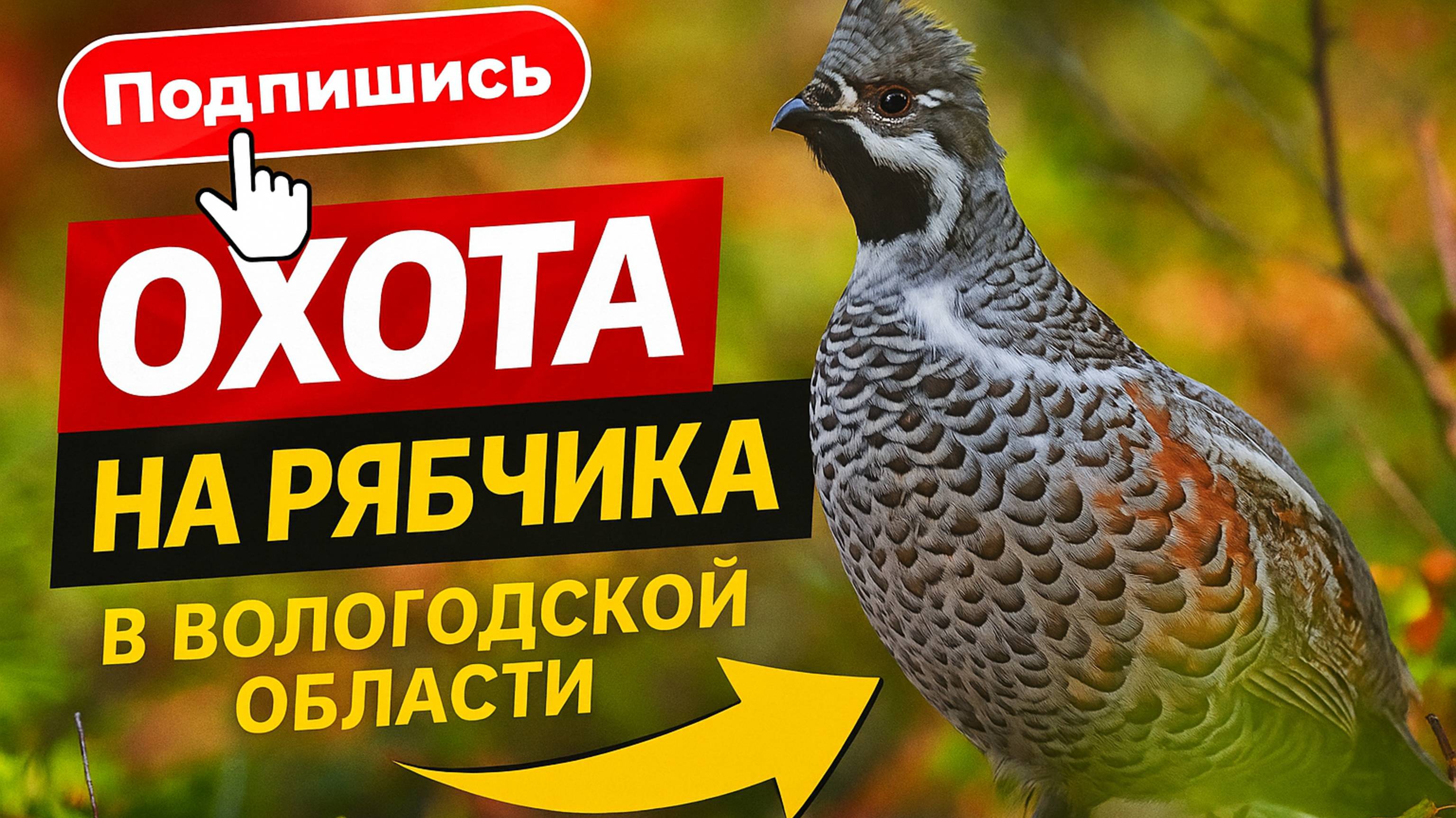 Вот какая охота на Рябчика в Вологодской области. #манки #рябчик #охота #мужскоедело #лес #медведь