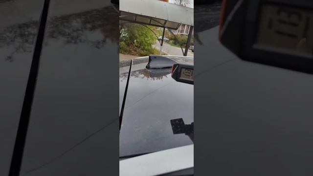 Petal_20251006_145418.mp4