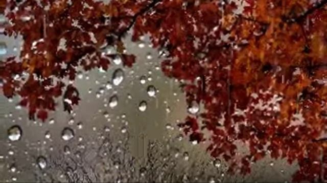 Когда птицы улетели