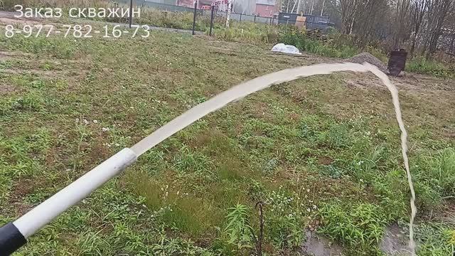 Абиссинская скважина под моросящий дождик, Сады 220