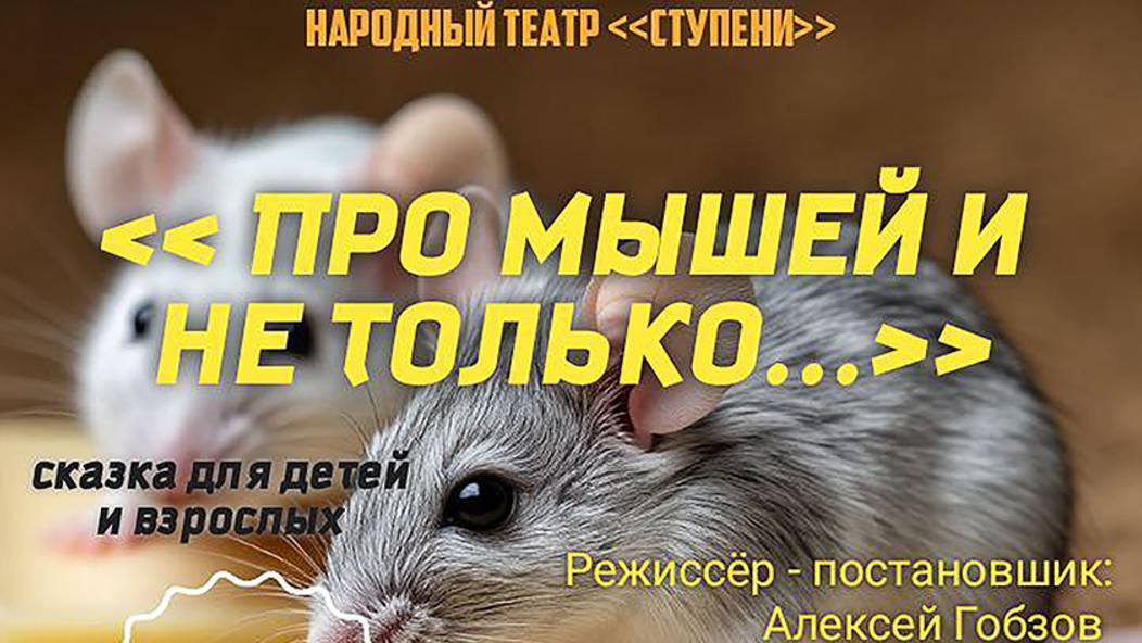 !Про мышей и не только...! 22.05.25 12:00