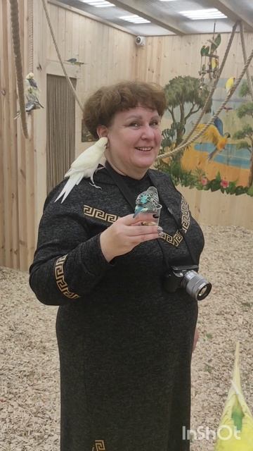 Попугаи.Это прелесно.