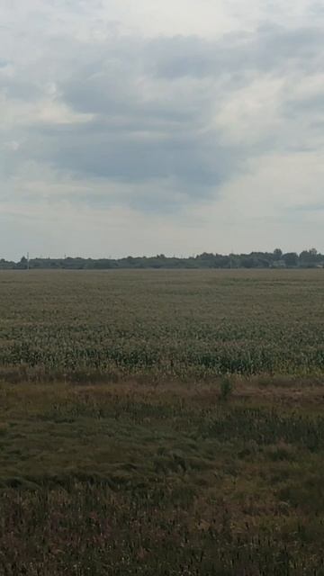 Поезд №512 С Новороссийск - Усинск 🚄 ASMR #поезд