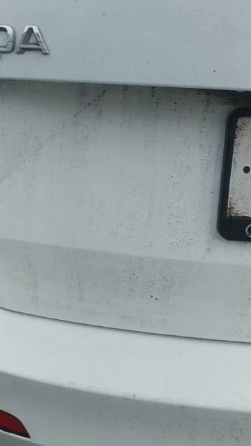 Битум на Шкода Октавия а7