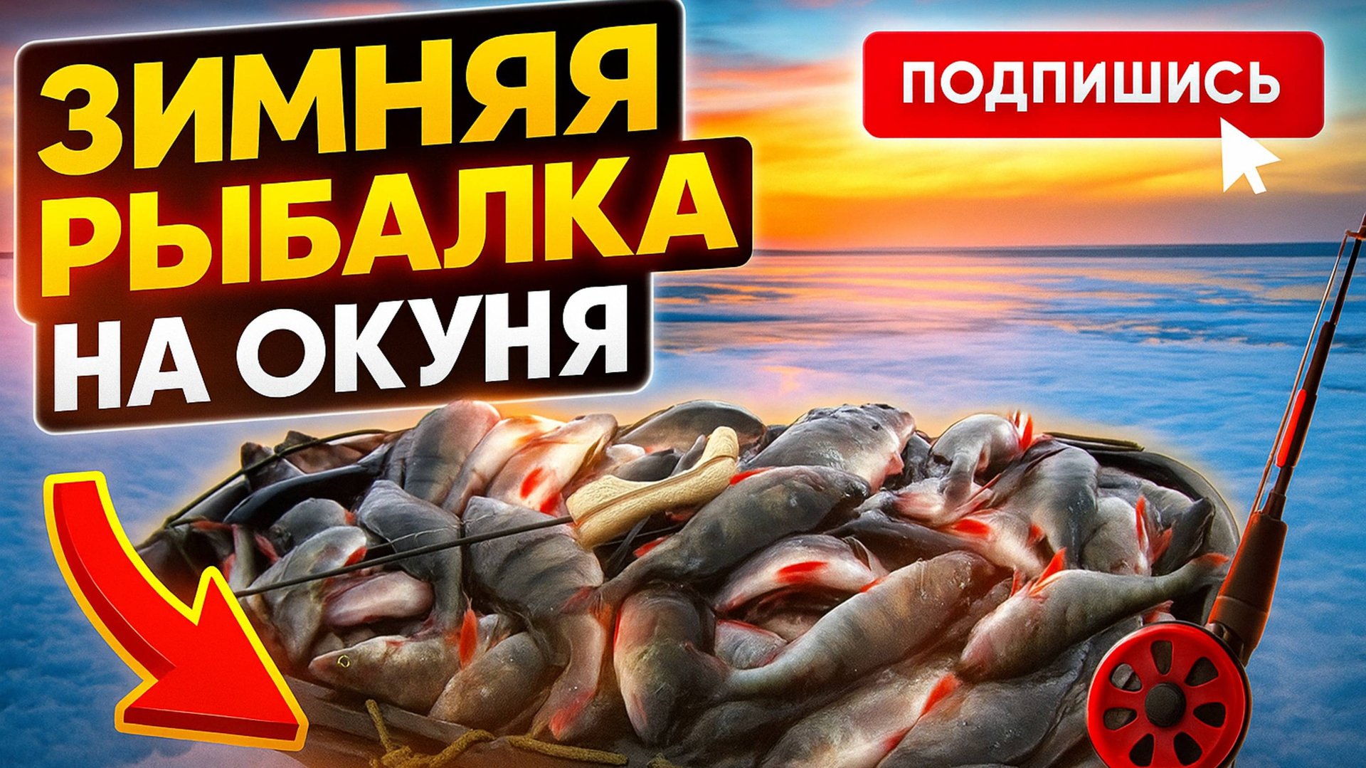 Зимняя рыбалка на окуня. #рыбалка #зарыбой #окунь #щука #рыбак #рыбаки  #видеопроохоту #влес