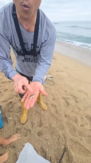 1916b10586bf8be43f089622c133043f