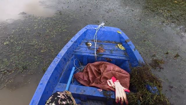 Ace6bac0e3d233f24df0f096b8bd924b