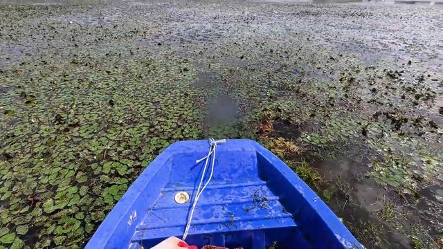 9f6a75ad19ed98d8de7d5929337f3076