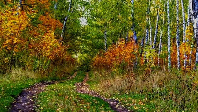 SAC-2025 10 01 Тренировка.