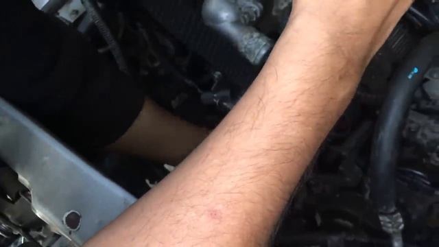 Игорь Кадников