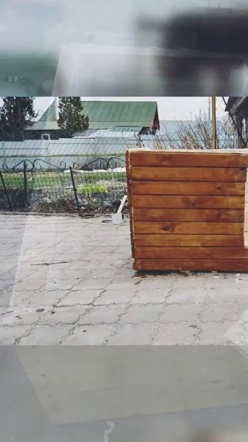 Будка (конура) для овчарки своими руками. #будка#овчарка#вольер#рукиизплеч
